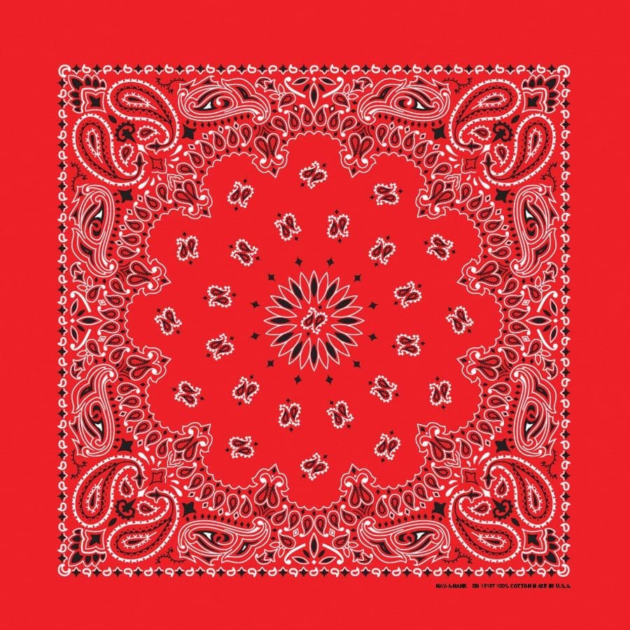 Bandanna 22" x  22"