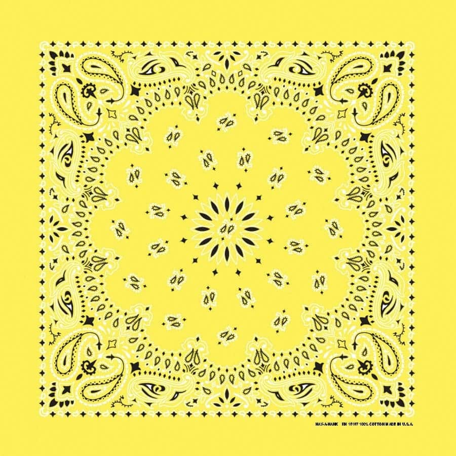 Bandanna 22" x  22"