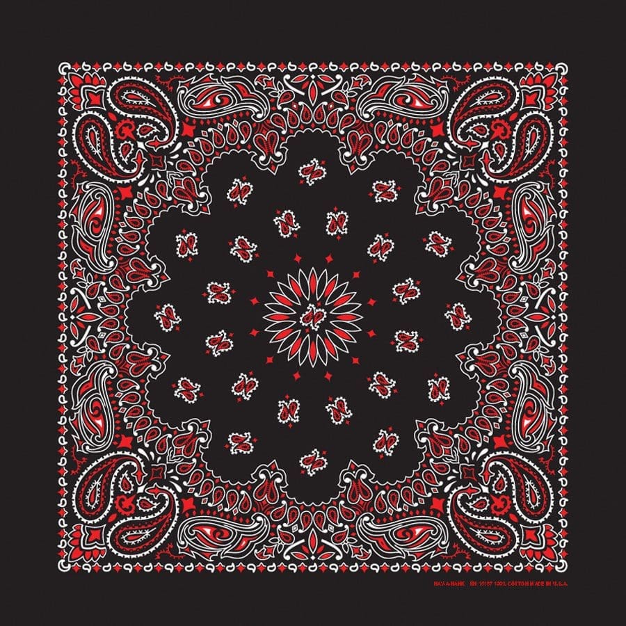 Bandanna 22" x  22"