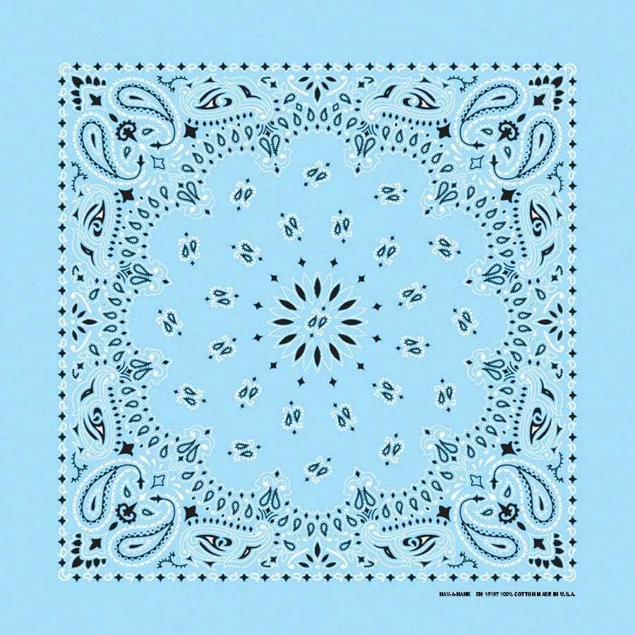 Bandanna 22" x  22"