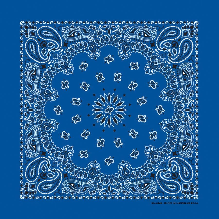 Bandanna 22" x  22"