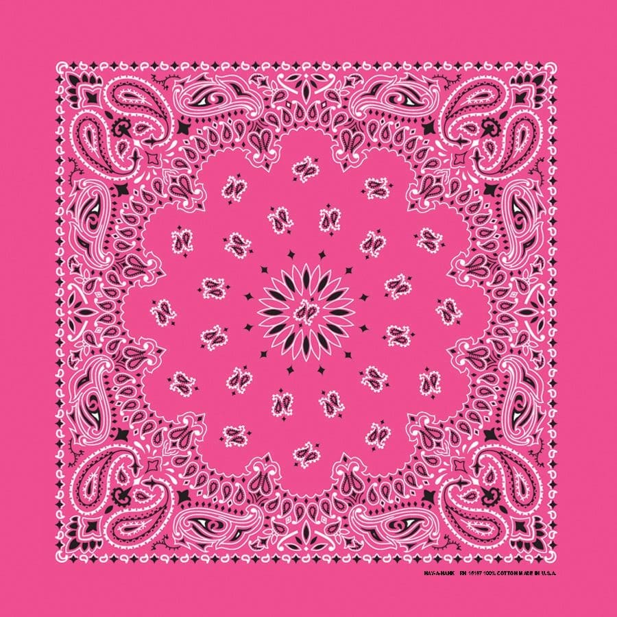 Bandanna 22" x  22"