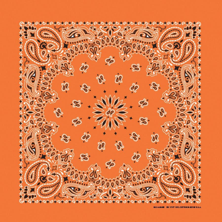 Bandanna 22" x  22"