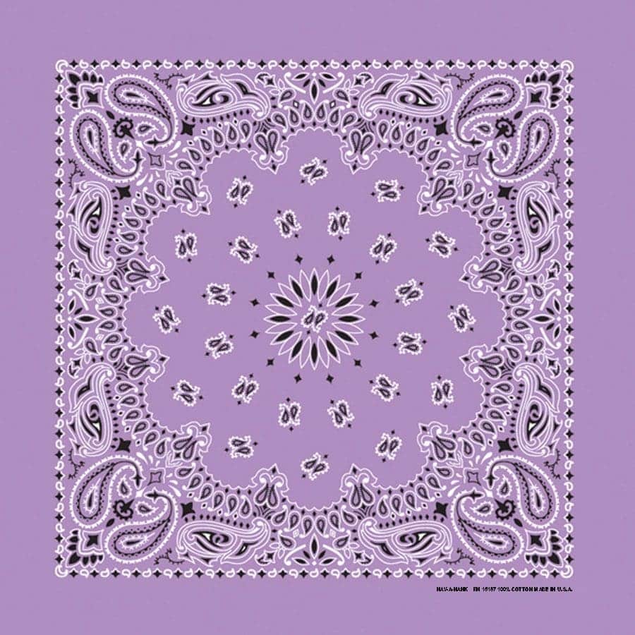 Bandanna 22" x  22"