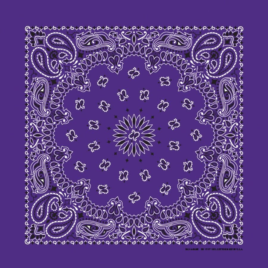 Bandanna 22" x  22"
