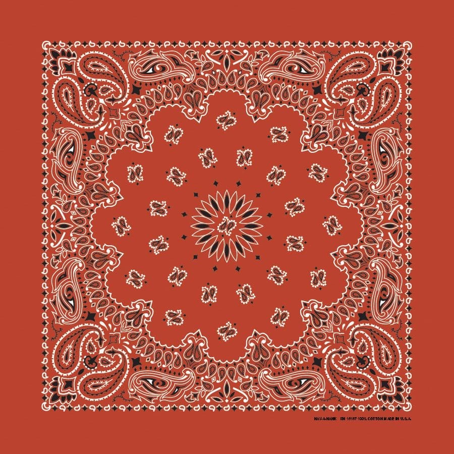 Bandanna 22" x  22"