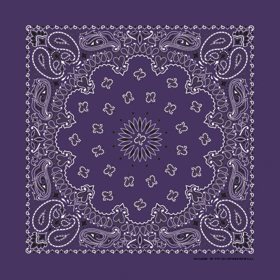 Bandanna 22" x  22"