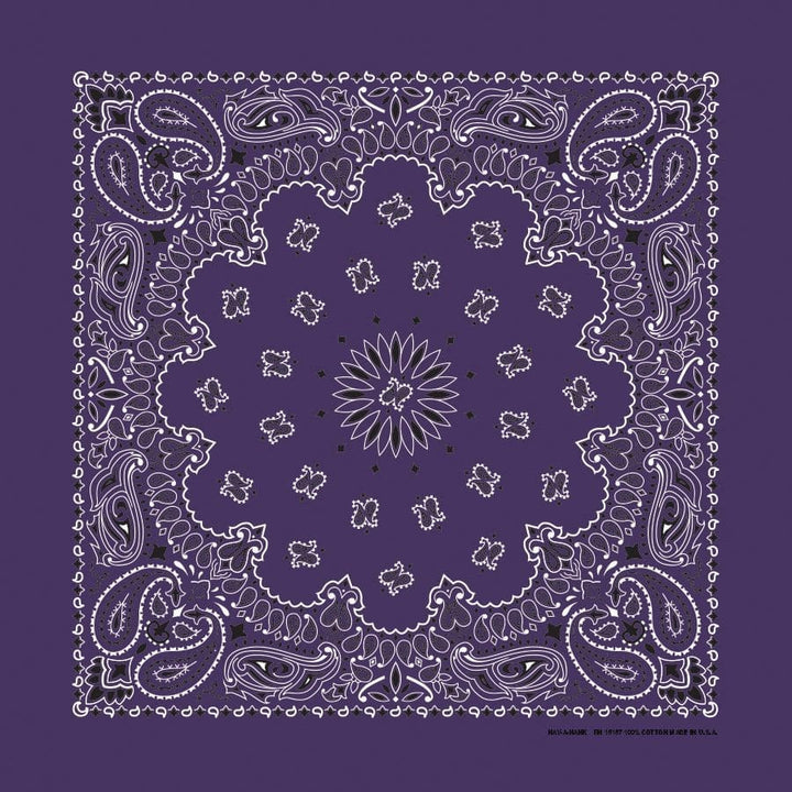 Bandanna 22" x  22"