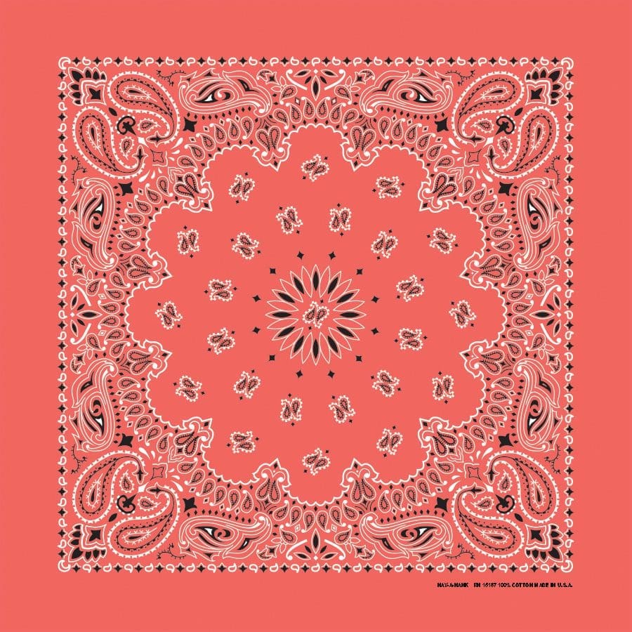Bandanna 22" x  22"