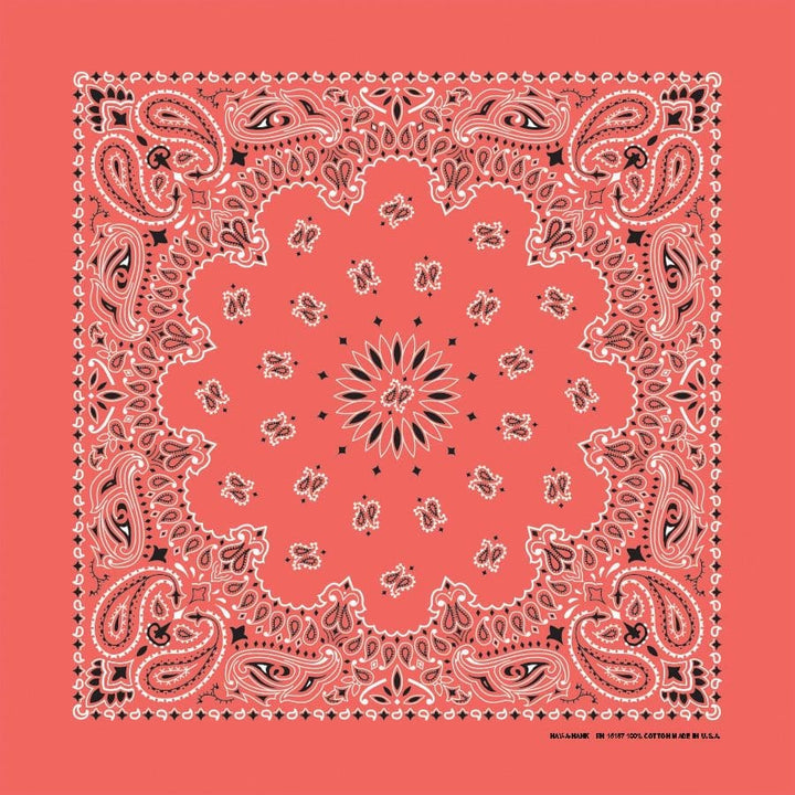 Bandanna 22" x  22"