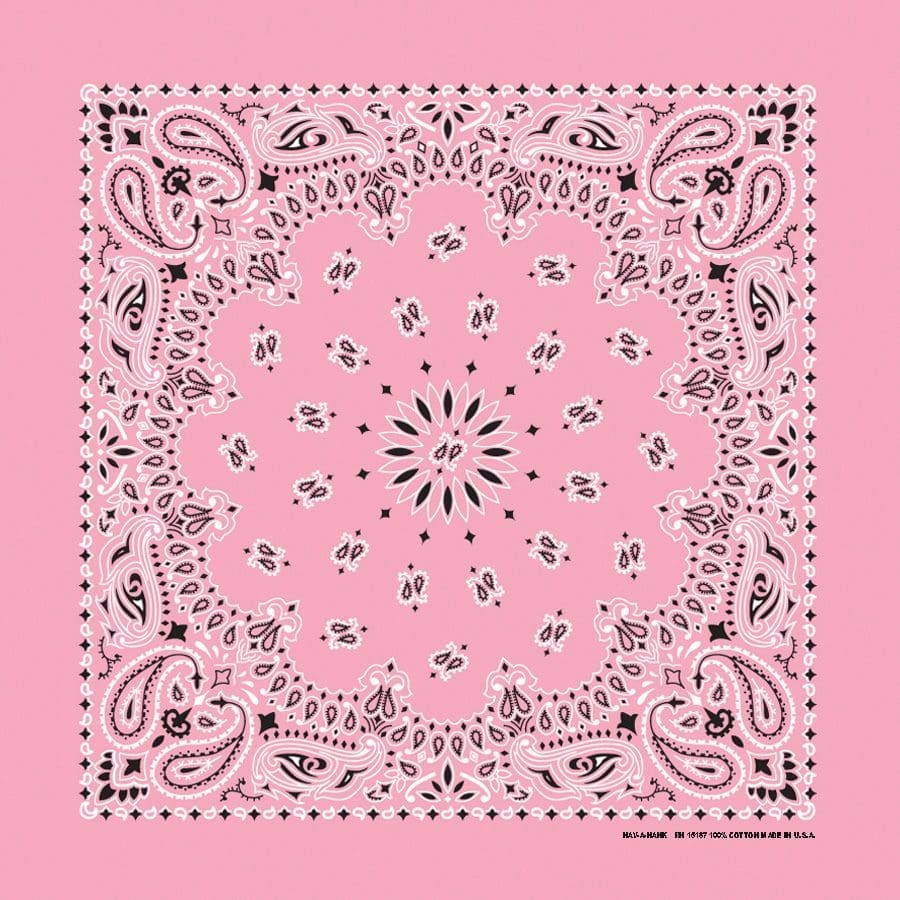 Bandanna 22" x  22"