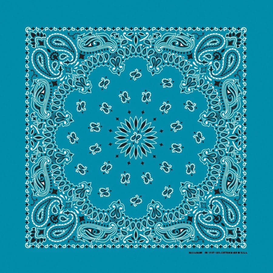 Bandanna 22" x  22"