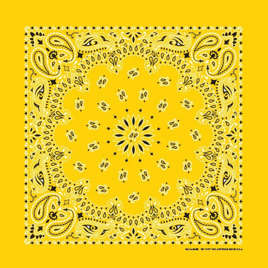 Bandanna 22" x  22"