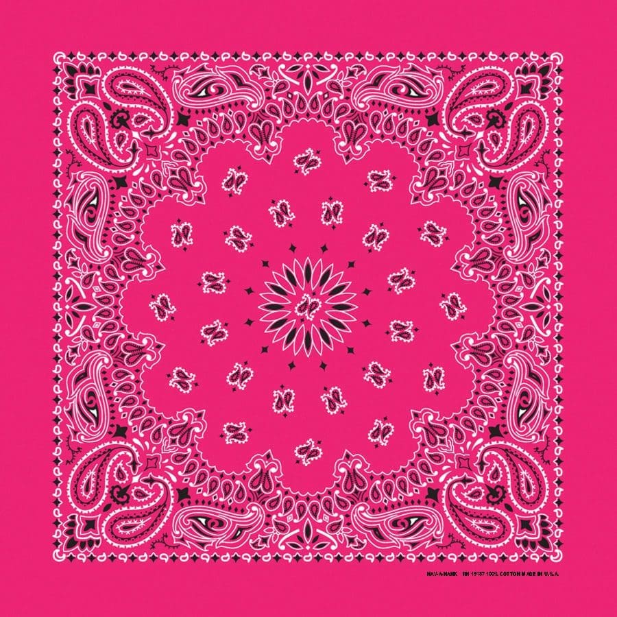 Bandanna 22" x  22"