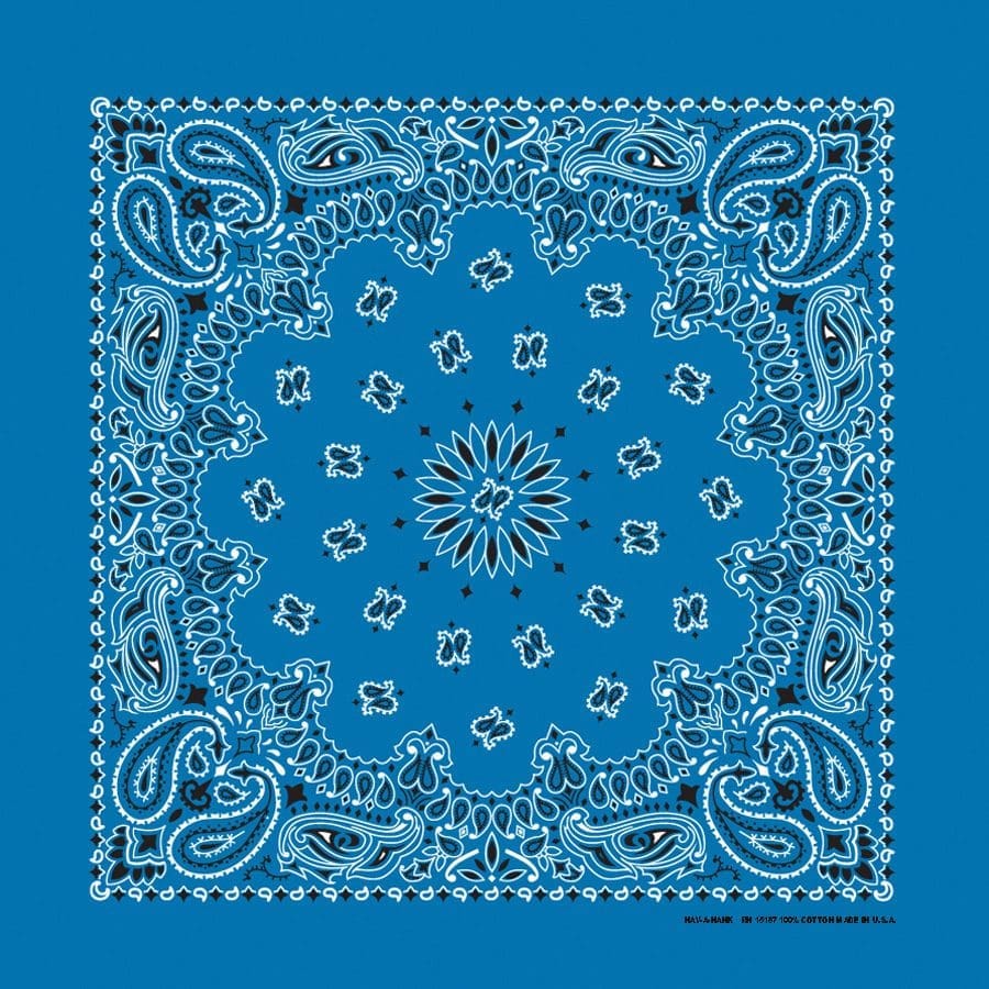 Bandanna 22" x  22"