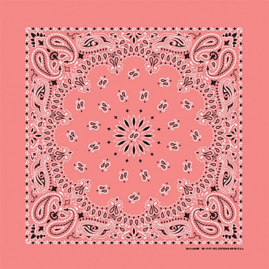 Bandanna 22" x  22"