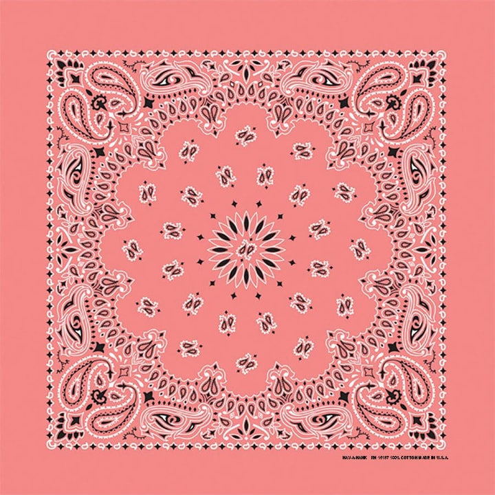 Bandanna 22" x  22"