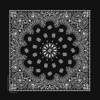 Bandanna 22" x  22"