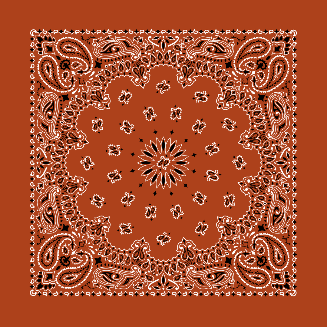 Bandanna 22" x  22"