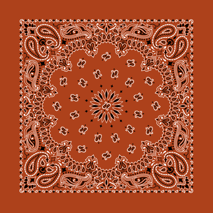 Bandanna 22" x  22"